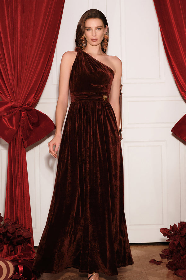 Tessy One Shoulder Maxi Dress - Brown