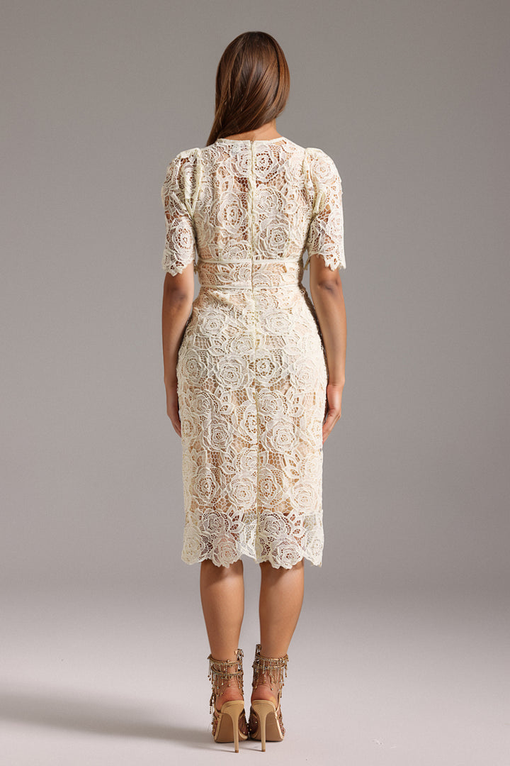 Tulip Short Sleeve Lace Midi Dress