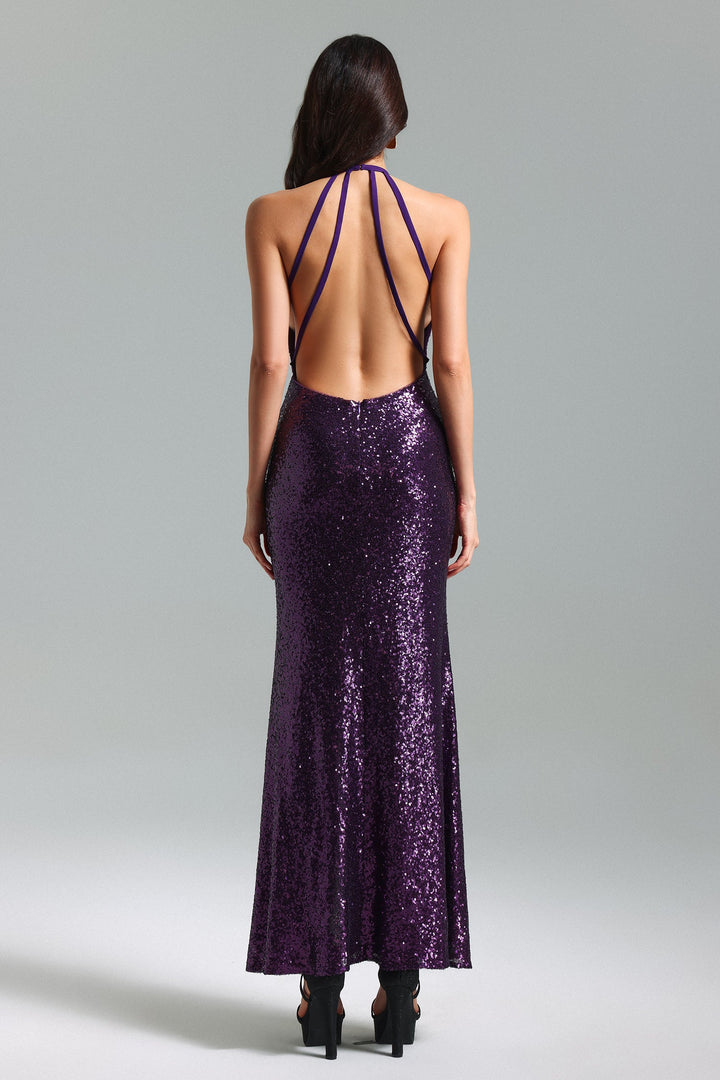 Mignon V Neck Sequins Backless Dress